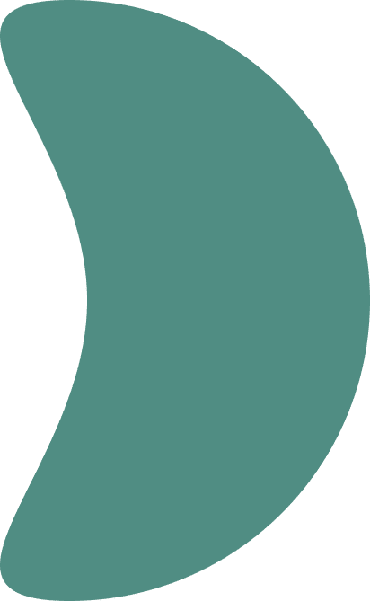 Ellipse 3