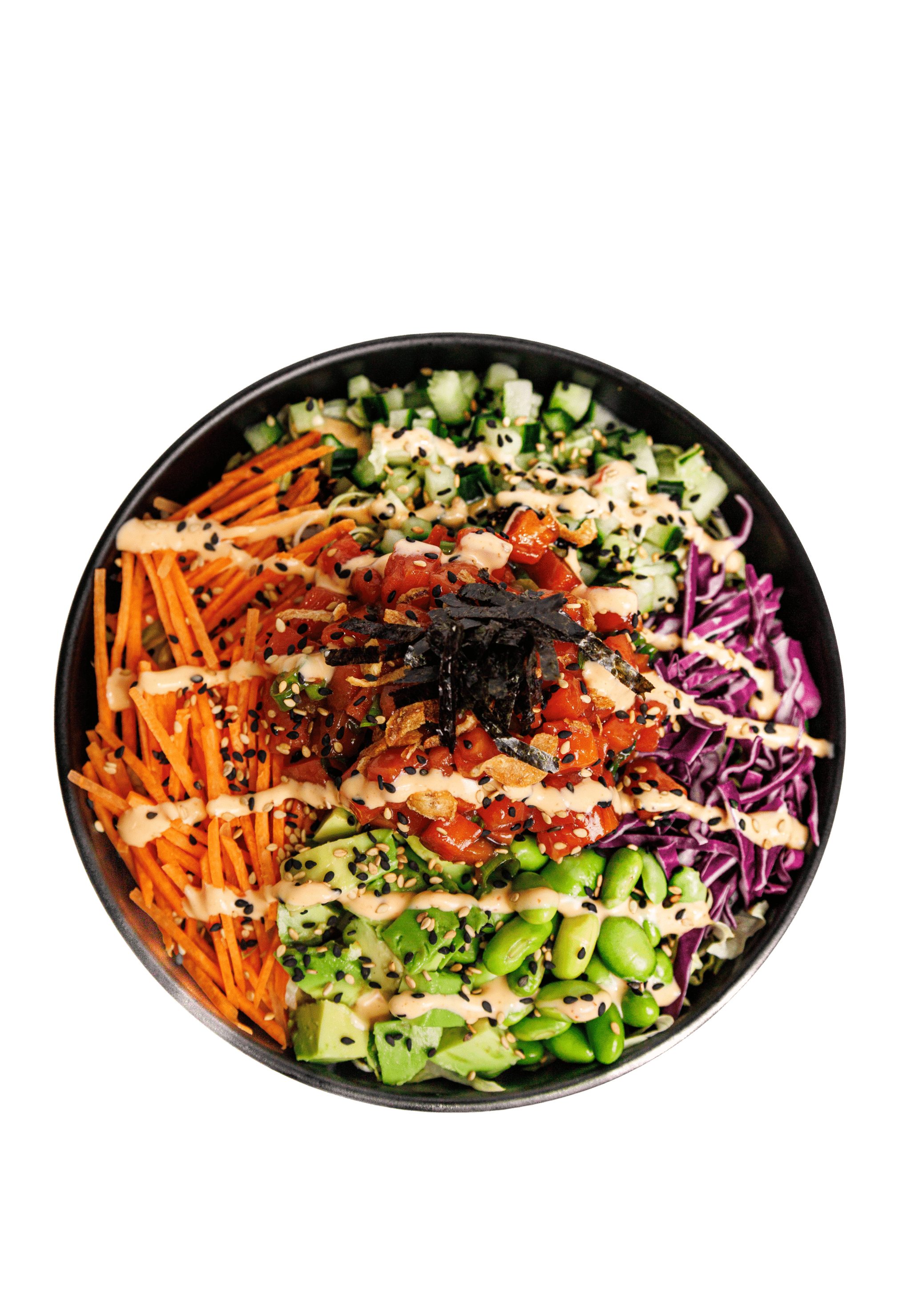 Le Tropic du Saumon The Salmon Tropic 1.png 1