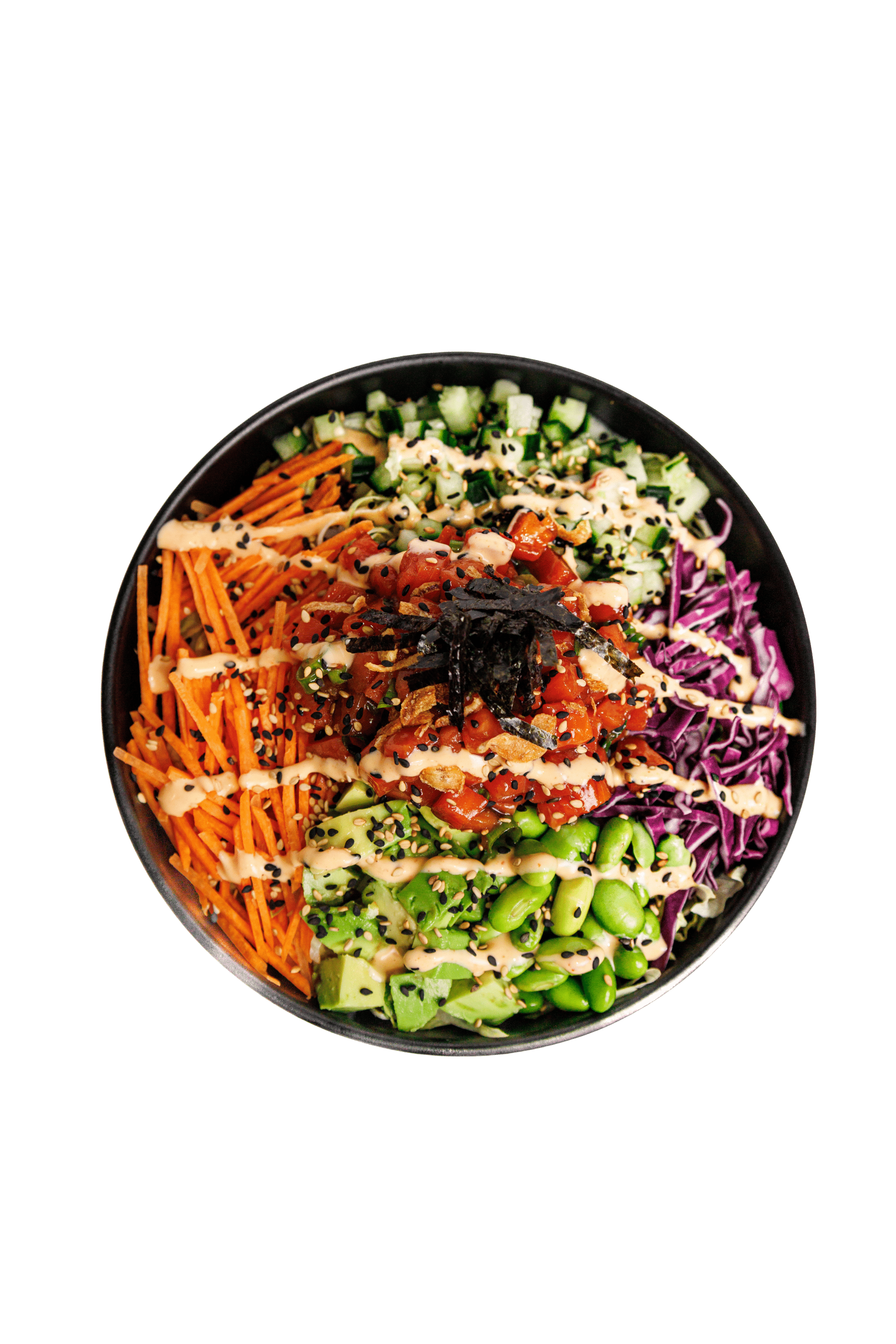 Le Tropic du Saumon The Salmon Tropic